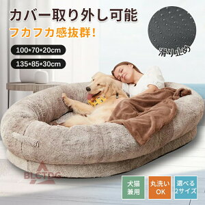 TCY xbh NbV  ӂӂ  L xbh Lp  p ^ t ybgxbh 􂦂 n Vv 킢  ˂ lR ybg ӂӂ Lp 