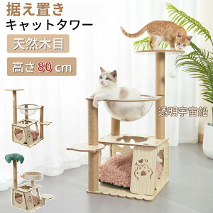 Lbg^[ L^[ ؐ 80cm u ؐLbg^[ LnEX ܂Ƃ|[ Bƕt 萫Q  ^L VjA lR^[ L̕ Vя   F