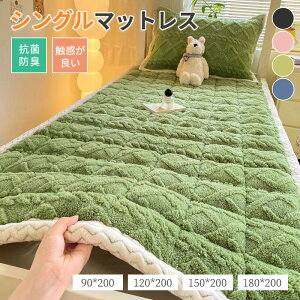 }bgX  }bgX VO }bgX }bgX xbh}bgX Lv W[ ܂ w Ԓ RpNg RpNg}bgX eg}bg VO}