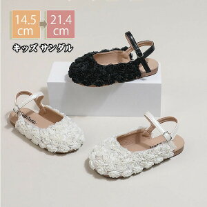 LbY T_ ̎q@qT_ V[Y Ȃ _炩 ʋC hX tH[} LbY WjAV[Y qC  C  {Q  w Ǝ a sAm 