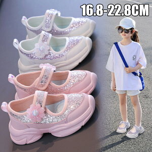 q T_ LbY Xj[J[ X|[cT_ Xj[J[ ʋC ̎q T_ LbY WjAV[Y qC   C T_ o ʉ ʊw qV[Y  