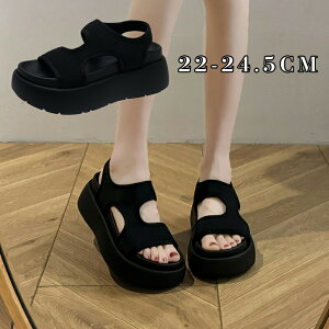 X|[cT_  fB[X T_ fB[X  X|[cT_ T_ i[XT_  Xj[J[T_ RtH[gT_ T_ ɂ JW