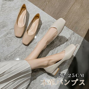 pvX fB[XV[Y fB[XC TCY 傫TCY ɂȂ 3cmq[ ₷ EȂ rWlX ʋΒʊw  tH[} w ItBX d ʋ ʊw 22~25cm