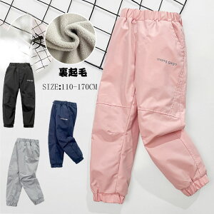 qpc {A h pc ǂ LbY Opc {gX hpc vCEFA h 킢 oR qǂ N Y{ JWA EGXgS Vv n Vv