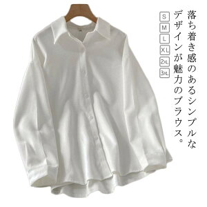  fB[X 傫TCY Vc Ƃ݃CVc  m[AC `Ԉ ItBX  t@bV JWA A ꂢ 킢 CVc ʋ 