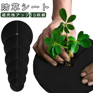 10g sDz V[g  hV[g h ` |pV[g hV[g ʋC Gh~   _ |p ʎ e͔| 뉀 ƒ؉