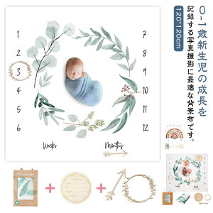 3type xr?uPbg ԗ tHgt[t 3type tHgV[g AV[g QA[g oYj xr[A[g ʐ^  LOtHg 1 100 1 a v[