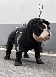 ���� ���C���R�[�g �h�� �h�� �Ȃ� �t���J�o�[ �h�b�O�E�F�A ���^�� ��^�� ������� �J�� �H�~ �t�����`�u���h�b�O �Č�