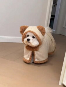 �� �� �|���`�� �~ �N�}�� �t�[�h�t�� �������� �P�[�v ���^�� ���^�� �h�� ������ݕ� ������� ���킢��