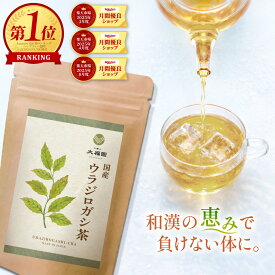 ウラジロガシ茶 国産 無添加 30包 ウラジロガシ ノンカフェイン ティーバッグ 流石茶 ウラジロガシ流石茶 ウラジロ 送料無料 お茶の大福園 健康茶 大福園 3g×30包