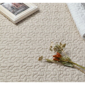 y[J[iz100̃CuO}bg fR[ 190×240cm EHbVu ~ I[V[Y zbgJ[ybgΉ Ԃ @ Cu ؍ Lg 􂦂 Rbg h306