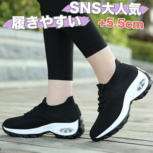 y艿i6,500~2,480~z Xj[J[ fB[X   C bV y ؍ y  y ɂ ubN zCg O[ r ʋC V[Y W jO L ^