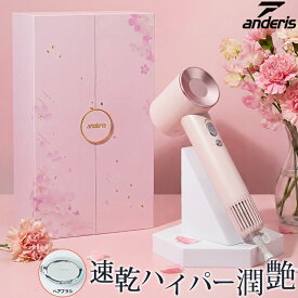 ★人気ギフト★爆安28,000円⇒8,590円★anderis公式 ドライヤー ヘアドライヤー 速乾 大風量 2億 マイナスイオン 軽い コンパクト ミニ 低騒音 1000w ヘアケア イオンドライヤー プレゼント おしゃれ 旅行 速乾ドライヤー ヘアサロン 髪質改善
