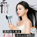 【ギフト｜爆安28,000円→8,100円】ドライヤー ヘアドライヤー 人気 大風量 速乾 静音 イオンドライヤー 2億 マイナスイオン 1000W マイナスイオンドライヤー 軽量 静電気除去 高速ドライヤー ノズル付き 家庭用 旅行用 持ち運び便利 ヘアサロン 冷熱風 髪に優しい ANDERIS