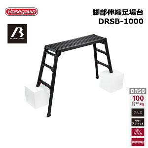 �r���L�k����� DRSB-1000 1�� ���J��H�� 100060 �l���z���s��
