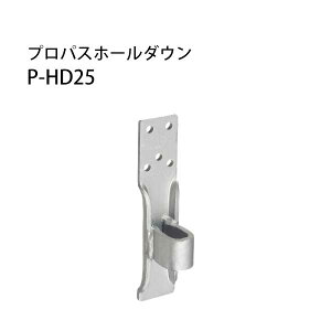JiC vpXz[_E P-HD25 sWdlt 442-9674 20 b  \ y