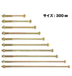 Z [bg ZZp{g M12 M12×300mm 100{ 417-2300 b  \ y