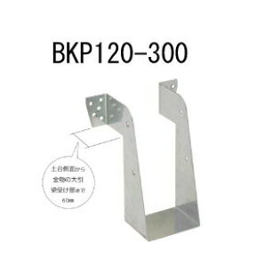 JiC rX~ߑ󂯋 BKP120-300 10 442-2446 b  \ y