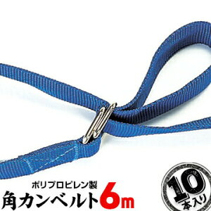 PPpJxg 6.0m 10{ ג߃xg pJxg  z