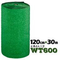 (エントリーで最大P20倍)人工芝 WT-600 正巻 120cm幅×30m巻 芝生マット 人口芝ロール 庭 ガーデン