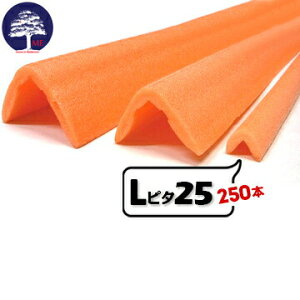 MF GGt Ls^ 25yAnL^{ށz L25mm×25mm 1700mm 250{ L^̌`ŏoȂǊp̗{Ɏgpł܂