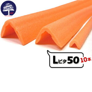 MF GGt Ls^ 50yAnL^{ށz L50mm×50mm 1700mm 10{ L^̌`ŏoȂǊp̗{Ɏgpł܂