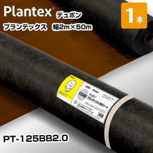 vebNX 1{  PT-125BB2.0 2m×50m o[Vu f| hV[g  ΍ |   Uo[