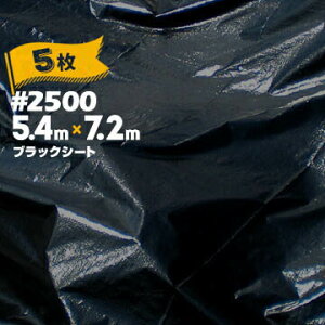 H HAGIHARA ubNV[g #2500 5.4m×7.2m 5 z  y _ {Y h G΍ O΍