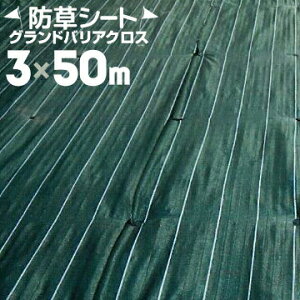 ykCzszH hV[g OhoANX3 3m×50m HAGIHARA Gh~ ΍ ԏ ho Cxg y؃NX _Ǝ