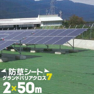 ykCzszH hV[g OhoANX7 2.0m×50m HAGIHARA ނ ΍ _ _  K[fjO ƒ؉  Gh~V[g