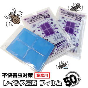 Ɩp sQ΍ CVXtB 50 Q ~[Q΍ Lb` Q쏜 Hi