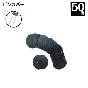 sJo[ 50 Y hV[g {H lH IvV