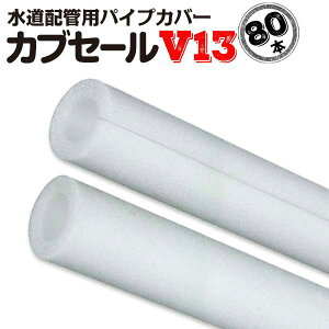 (�G���g���[�ōő�P20�{)�J�u�Z�[��V13:���a18mm×�O�a38mm×10mm�� ����2m 80�{ �z�ǃJ�o�[ �p�C�v�J�o�[