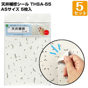 VCV[ A5i210mm×148mmj 5/5Zbg go[`͗l yV{[h ItBX XܓV V~ B