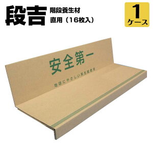 GGt MF Ki{ށyig 񂫂z p 16 Ki̞yƓݔɉ` Jbgsv̎Ki{