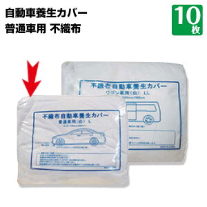 ԗ{Jo[ sDz ʎԗp LTCY 3700mm×6800mm 10 { V[g z DIY h H  O