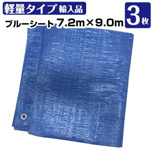 u[V[g 7.2m×9.0m (A)  3 KMlNXg W[V[g C 䕗 181210100