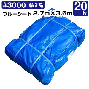 u[V[g 2.7m×3.6m #3000  20Zbg KMlNXg W[V[g C 䕗 181210316