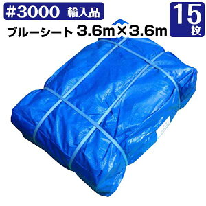 u[V[g 3.6m×3.6m #3000  15Zbg KMlNXg W[V[g C 䕗 181210350