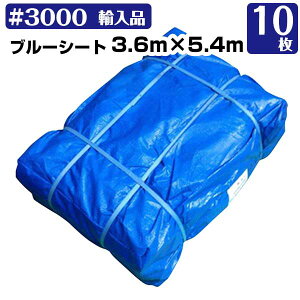 u[V[g 3.6m×5.4m #3000  10Zbg KMlNXg W[V[g C 䕗 181210360