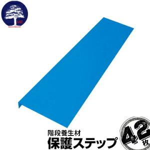 یXebv 42 { Ki̊ɏՍނƂ NbVޕt