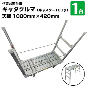 L^O} Ƒ䌓p BB-1000-3 LX^[100 A~܂肽  r Ƒ hЎ