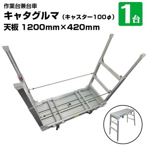 L^O} Ƒ䌓p BB-1200-3 LX^[100 A~܂肽  r Ƒ hЎ
