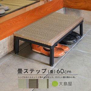 �y�T��SALE�z��A�C�A���X�e�b�v ���� 60cm×30cm×17cm 1�� �哇��