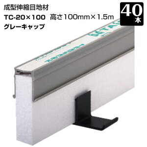 GLXp^C 40{Zbg O[ TC-20-100 Lbv 20mmx100mm×1.5m `Lkڒn yԃRN[gڒn ^CZC