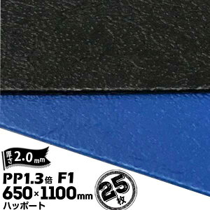 O䉻wZ nb|[g PP1.3{ AV[g F1 i 2mm 650mm×1100mm AI/N 25 xj xj yRiȂz