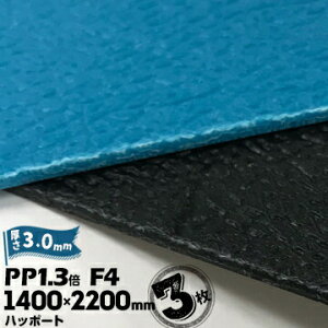 O䉻wZ nb|[g PP1.3{ AV[g F4 i 3mm 1400mm×2200mm AI/N 3 xj xj yRiȂz