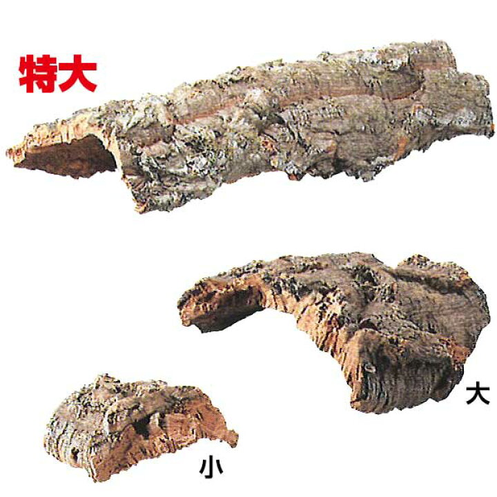 楽天市場】園芸用コルクバージンコルクディスプレイ 特大/（06kg～1.5 