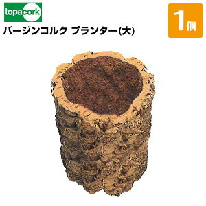 �y�S���i�|�C���g7�{�z���|�p�R���N�o�[�W���R���N�v�����^�[ �T�C�Y/�� �O�a200�`250×H250mm 1�� ���|�ԍޗp �{���������o�p �V�R�f��