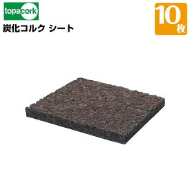 園芸用コルク炭化コルクシート 300×300×30mm 10枚 園芸花材用 天然素材